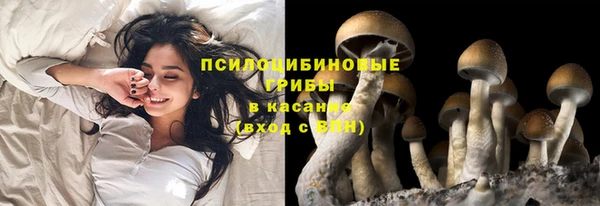 метамфетамин Армянск