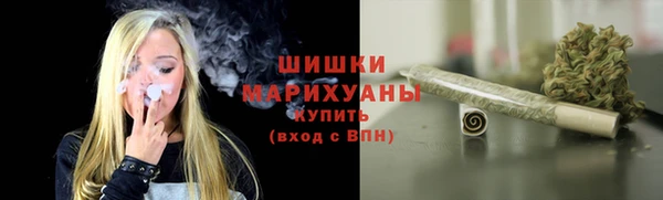 гидра Арсеньев
